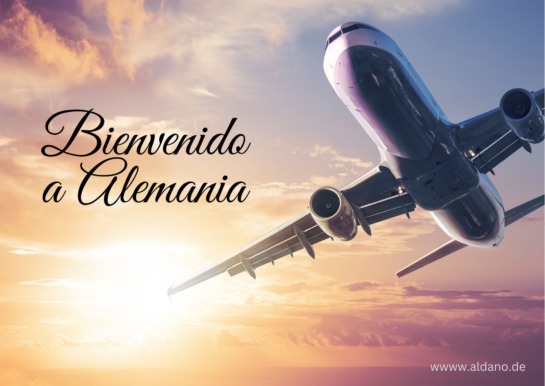 bienvenido